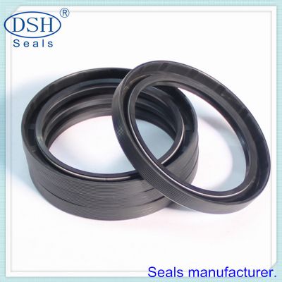 Double Rotary Shaft Metric TC Oil Seal